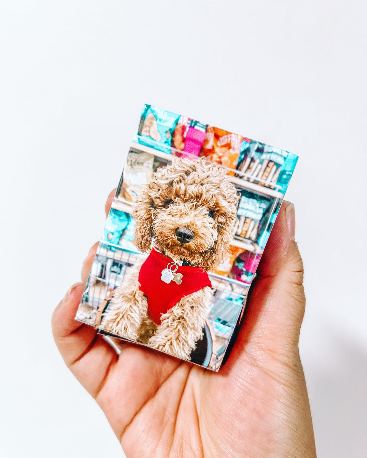 Custom Rectangle Photo Magnets Sets